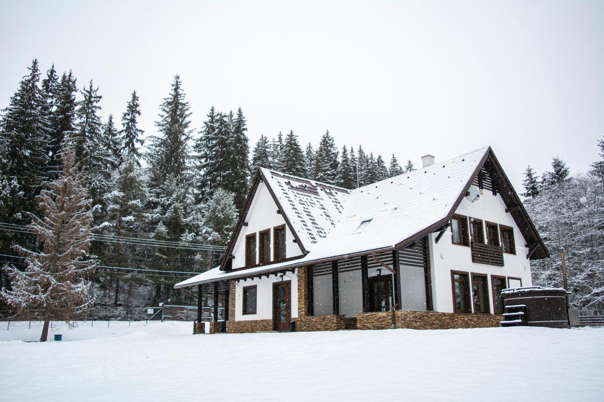 Mountain Paradise & Wellness Villa Izvoare  Exterior photo